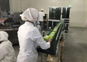 Отандық тауар импортты ысыра алады ма?