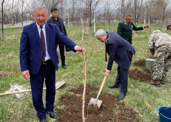 Түлкібаста «Парктер шеруі» акциясы өтті