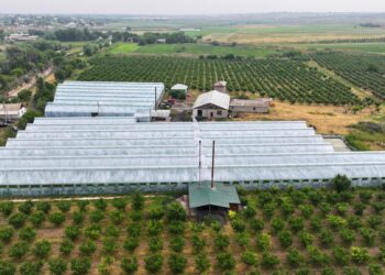 ЖЫЛЫЖАЙЛАР МОЛ ӨНІМ БЕРУДЕ