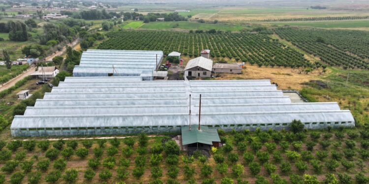 ЖЫЛЫЖАЙЛАР МОЛ ӨНІМ БЕРУДЕ