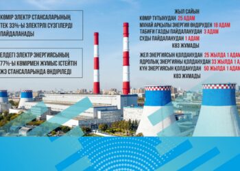Дүниежүзілік банк: Жылу электр орталықтарының жайы ойлантады
