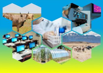 ТҮРКІСТАН ОБЛЫСЫНДА ИНФРАҚҰРЫЛЫМ САЛАСЫНА БАҚЫЛАУ КҮШЕЙТІЛДІ