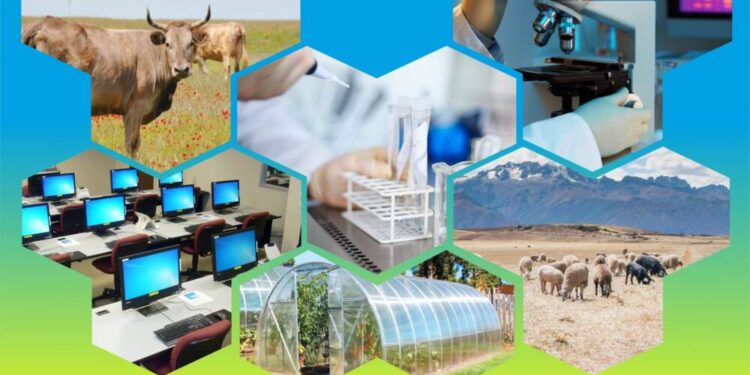 ТҮРКІСТАН ОБЛЫСЫНДА ИНФРАҚҰРЫЛЫМ САЛАСЫНА БАҚЫЛАУ КҮШЕЙТІЛДІ