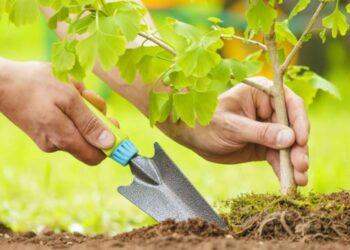 ТҮРКІСТАН ОБЛЫСЫНДА ИНФРАҚҰРЫЛЫМ САЛАСЫ ҚАРҚЫНДЫ ДАМЫП КЕЛЕДІ