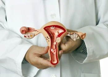 ТҮРКІСТАН ӨҢІРІНДЕ  ЖАТЫР МОЙНЫНЫҢ ОБЫРЫМЕН СЫРҚАТТАНУШЫ ӘЙЕЛДЕР КӨБЕЙГЕН