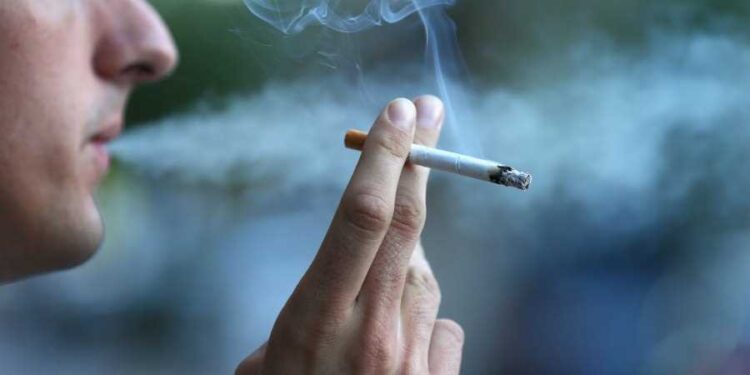 ТҮРКІСТАН ҚАЛАСЫНДА ШЫЛЫМ ШЕГУДІҢ АЛДЫН АЛУ БОЙЫНША ШАРАЛАР ЖҮРГІЗІЛУДЕ