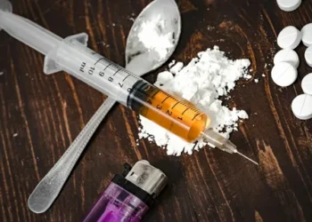 ТҮРКІСТАНДА ЕСІРТКІГЕ ТӘУЕЛДІ 292 НАУҚАС БАР
