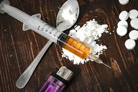 ТҮРКІСТАНДА ЕСІРТКІГЕ ТӘУЕЛДІ 292 НАУҚАС БАР