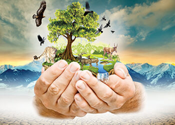 ТАЗАЛЫҚ – САУЛЫҚ КЕПІЛІ, САУЛЫҚ – БАЙЛЫҚ КЕПІЛІ