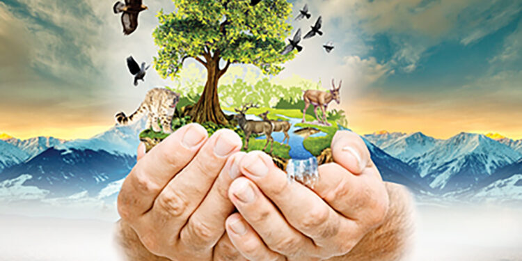 ТАЗАЛЫҚ – САУЛЫҚ КЕПІЛІ, САУЛЫҚ – БАЙЛЫҚ КЕПІЛІ