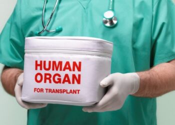 ТҮРКІСТАН ҚАЛАСЫНДАҒЫ ТРАНСПЛАНТАЦИЯНЫҢ ХАЛ-АХУАЛЫ ЖАҚСАРДЫ