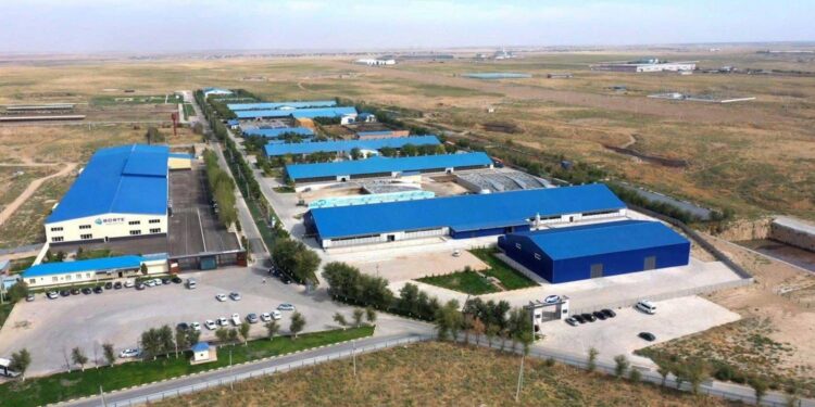 Түркістан облысында импортты азайтып, экспорт көлемін арттыратын  жобалар жүзеге асады