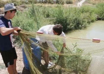 Түркістан облысы 6 ай нәтижесінде макроэкономикалық көрсеткіштер бойынша республикада бірінші орынға шықты