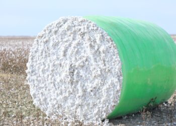 Түркістан облысында өңдеу өнеркәсібі өркендеп тұр