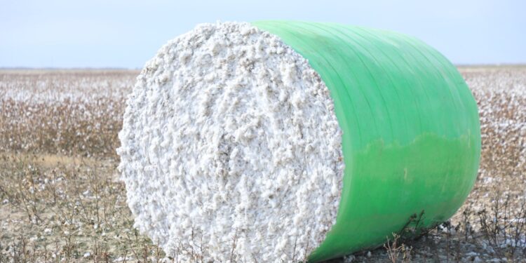 Түркістан облысында өңдеу өнеркәсібі өркендеп тұр