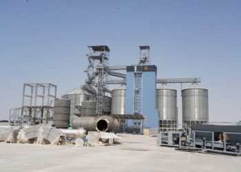 Шардарада жақында жылына 150 000 тонна жүгеріні терең өңдеуге арналған зауыт ашылады