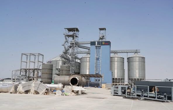 Шардарада жақында жылына 150 000 тонна жүгеріні терең өңдеуге арналған зауыт ашылады