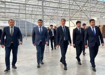 Әкімдік шағын және орта жобаларға сүйемелдеу жұмыстарын жүргізуде