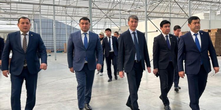 Әкімдік шағын және орта жобаларға сүйемелдеу жұмыстарын жүргізуде