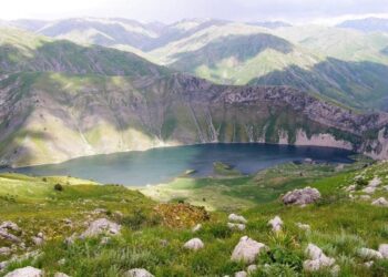 Түркістан облысының делегациясы Қытай еліне жұмыс сапарымен барып, жаңа серіктестік мүмкіндіктерін талқылады